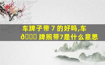 车牌子带７的好吗,车 💐 牌照带7是什么意思